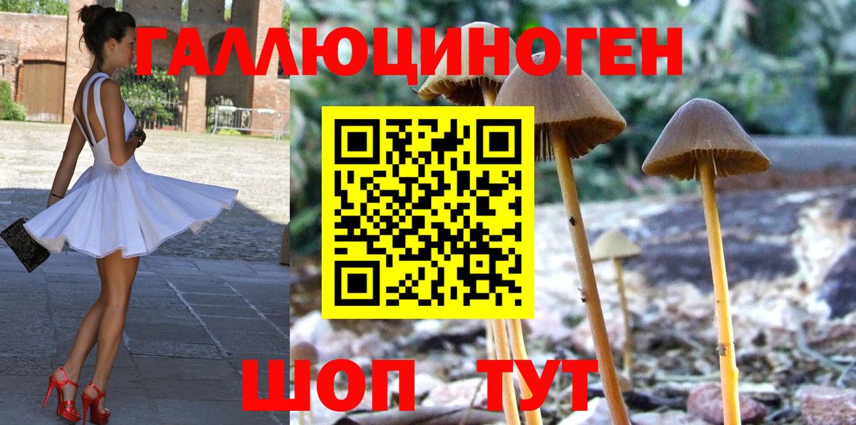 Похвистнево  Галлюциногенные грибы ЛСД  Вход с VPN  Псилоцибиновые грибы MAGIC MUSHROOMS 