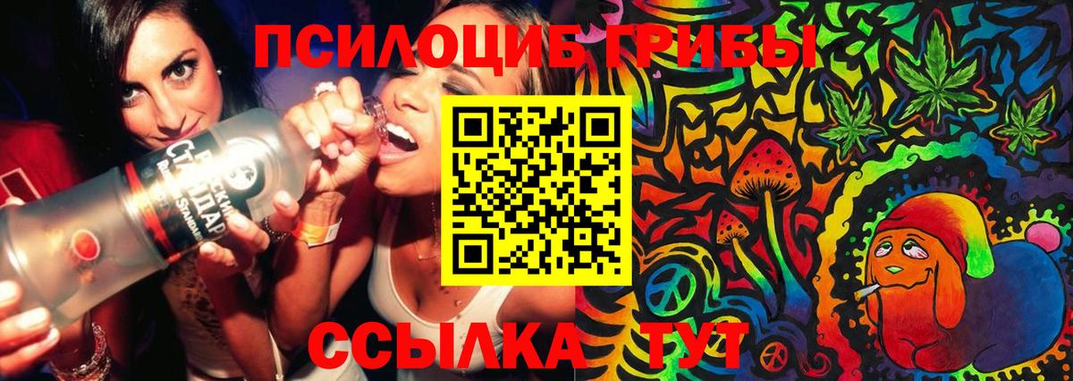 Галлюциногенные грибы MAGIC MUSHROOMS Похвистнево